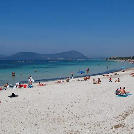 Apartment Babylon Cipro Alghero